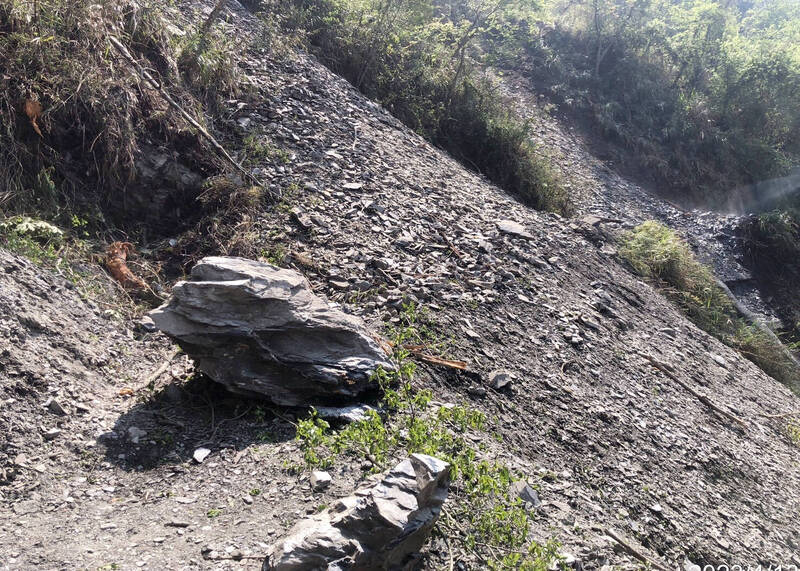 能高越嶺步道西段0K到1K路段的落石不斷。（圖由南投林管處提供）