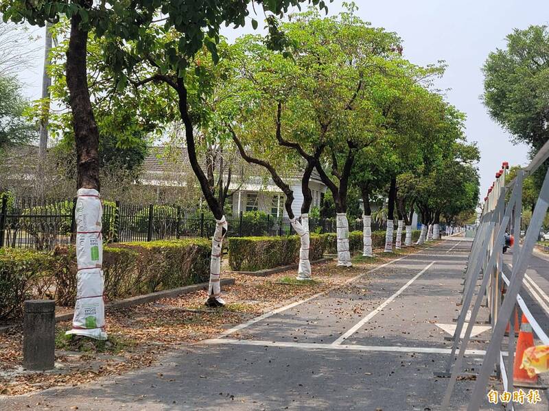 台糖街的人行步道正進行整修。（記者葉永騫攝）