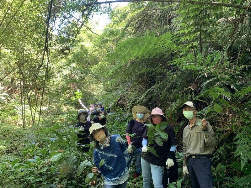 新北藍茶藝術季─弄色靛靛食茶柑香系列活動開跑，包含走讀旅行、藍染體驗等活動，即日起開放報名。（客家局提供）