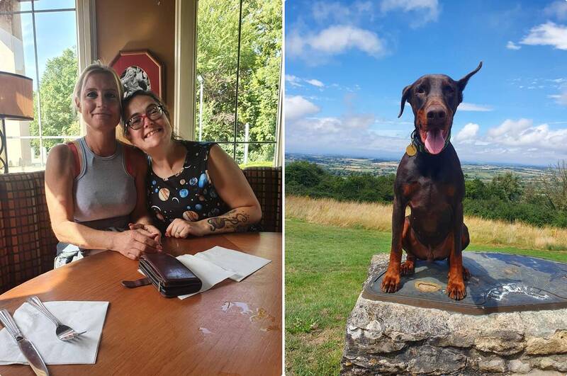 愛犬狂嗅陌生女 替洗腎主人找出「2200萬分之1完美腎臟捐贈者」 1 愛犬狂嗅陌生女 替洗腎主人找出「2200萬分之1完美腎臟捐贈者」