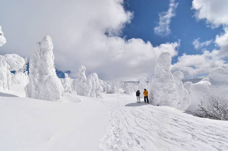 日本东北山脉壮阔的树冰奇景。（撷取自Twitter@JunMiya85）(photo:LTN)