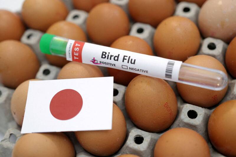 日本受禽流感影响引发蛋荒，有业者採取「抽签制」卖蛋。（路透）(photo:LTN)