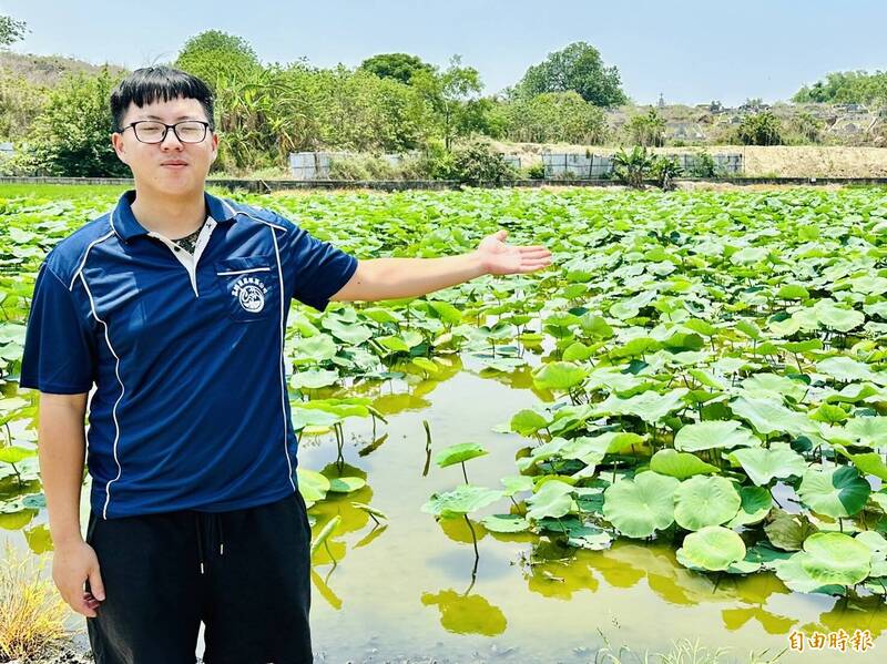 嘉義民雄牛斗山是台灣蓮藕主要種植地。（記者蔡宗勳攝）