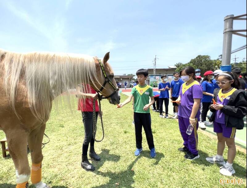 受邀參加后厝國小「舞動騎跡、后厝雙馬」特色遊學課程的桃園區文山國小學生，初體驗騎自行車及騎馬，羨慕后厝能有此新奇有趣課程。（記者陳恩惠攝）