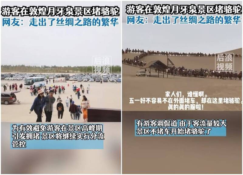 游客在敦煌鸣沙山月牙泉堵骆驼。（图撷取自微博）(photo:LTN)