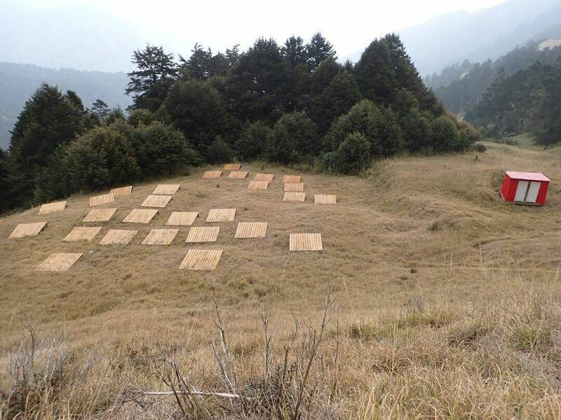 三六九山莊將拆除設臨時營地山友盼永保留，雪管處稱評估中。（雪管處提供）