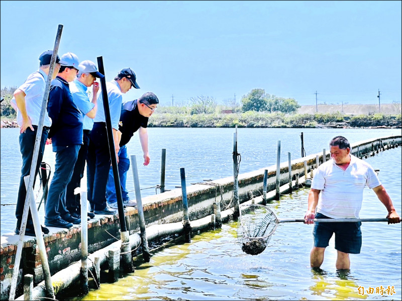 立委蔡易餘（站者右起）與農委會副主委陳添壽等人查看漁民打撈的死文蛤。（記者蔡宗勳攝）