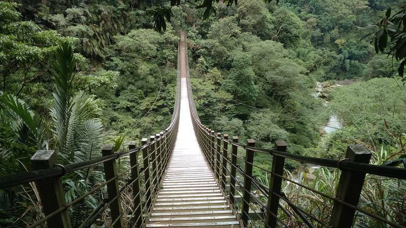 南投縣太極峽谷天梯園區,園區內梯子吊橋全長136公尺、有208階,是全台首座階梯式索橋。(南投縣政府提供) 南投縣太極峽谷天梯園區,園區內梯子吊橋全長136公尺、有208階,是全台首座階梯式索橋。(南投縣政府提供)