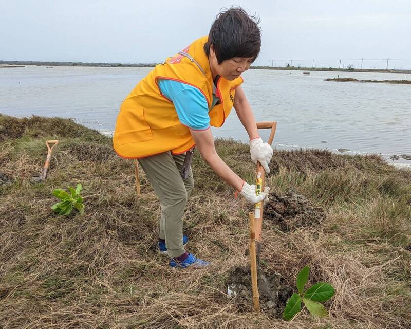 高雄鳥會與彰化銀行員工種樹。（高雄鳥會提供）