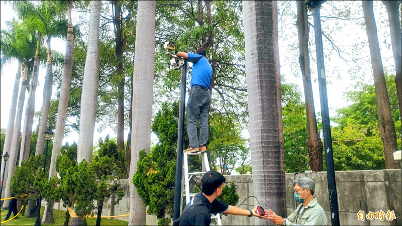 高市議會配合調整監視器，緊盯黃鸝周邊。（記者王榮祥攝）