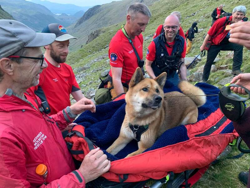 英國最高山斯科費爾峰近日傳出一起求助通報，不過傷者卻是一隻「精疲力竭的狗狗」，所幸在救援隊的協助下，狗狗與主人最終成功下山。（圖擷取自Keswick Mountain Rescue Team臉書）