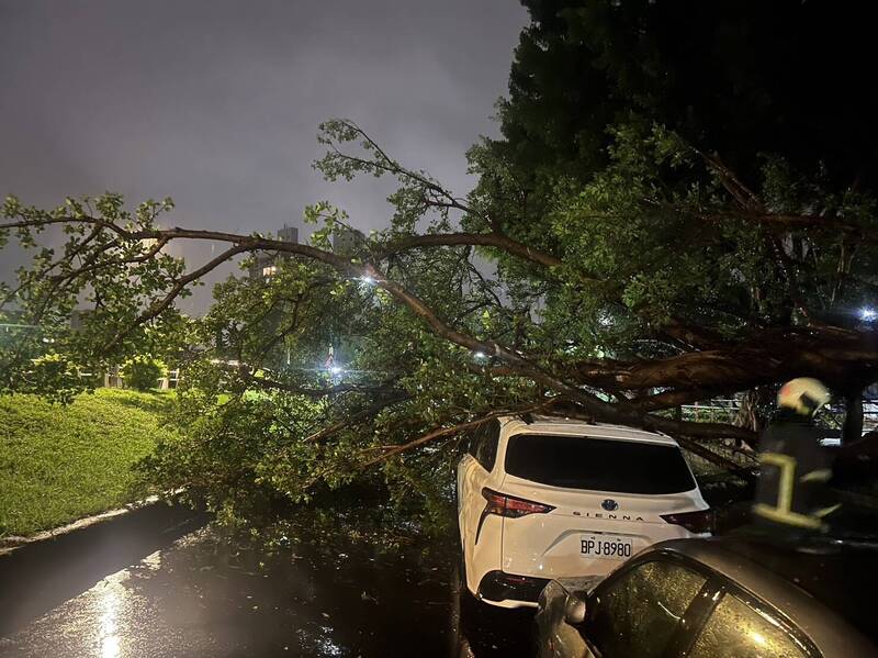 台北市於22日晚間強風大雨，造成多處路樹倒塌，不僅砸中數輛汽車，還釀一名女騎士受傷送醫。（台北市政府提供）