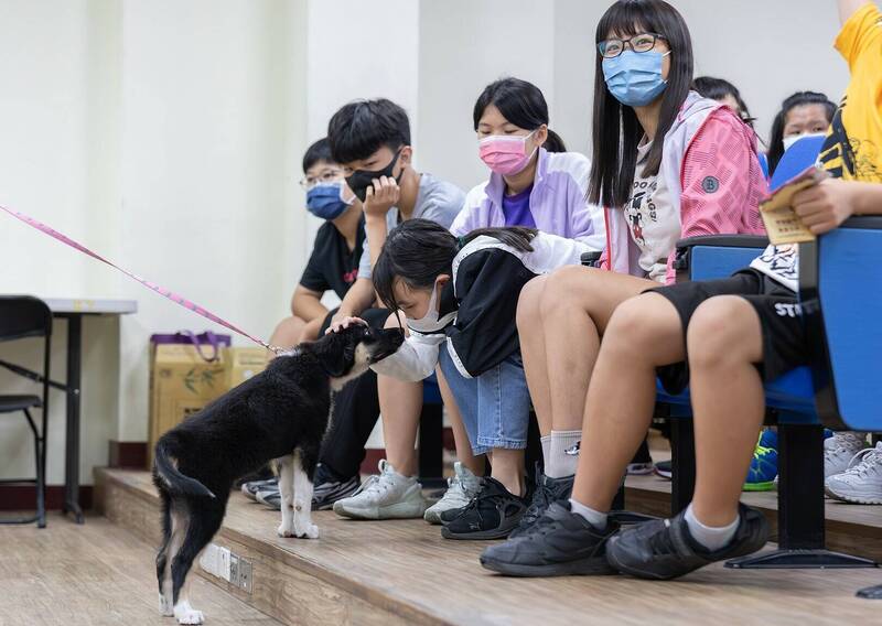 台灣動物緊急救援小組志工帶著流浪犬「黃黃」、「達達」和「本丸」當神秘嘉賓「狗助教」，深入校園與學童互動，學習生命教育。（台灣動物緊急救援小組提供）