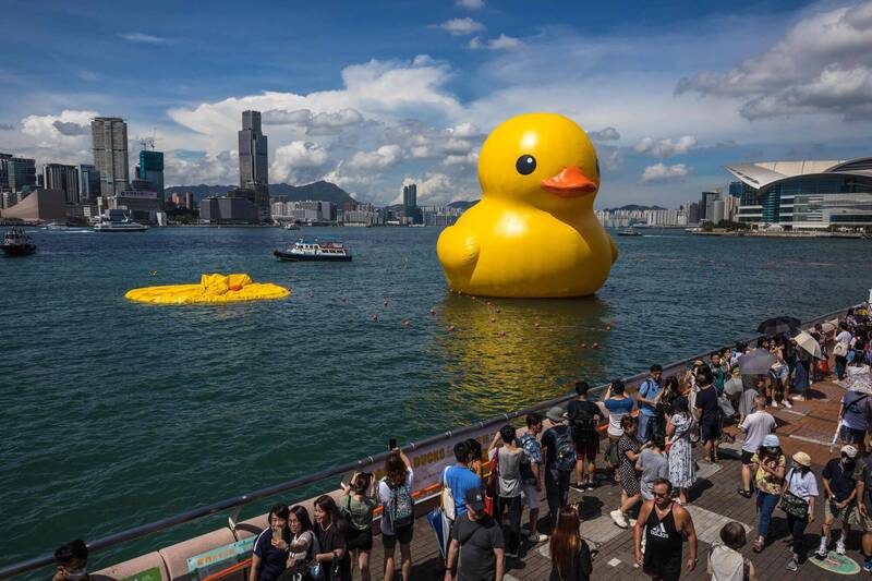 荷兰艺术家霍夫曼推出的最新作品《橡皮鸭二重畅》，首日在香港在维多利亚港口展出，其中一只「黄色小鸭」就洩气剩下「黄色鸭皮」，漂浮在水面上。（法新社）(photo:LTN)