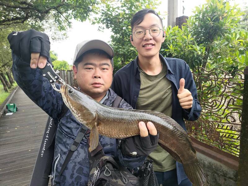 羅東林業文化園區首度舉辦移除外來魚種環教活動，釣上不少兇猛的泰國魚虎。（羅東林管處提供）