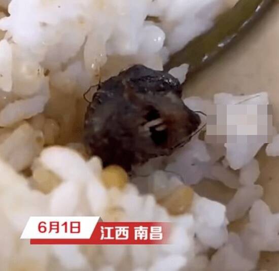 中国学校餐厅鼠头被校方和当局坚称是「鸭脖」，经过调查后才确认是鼠头。（图撷自微博）(photo:LTN)