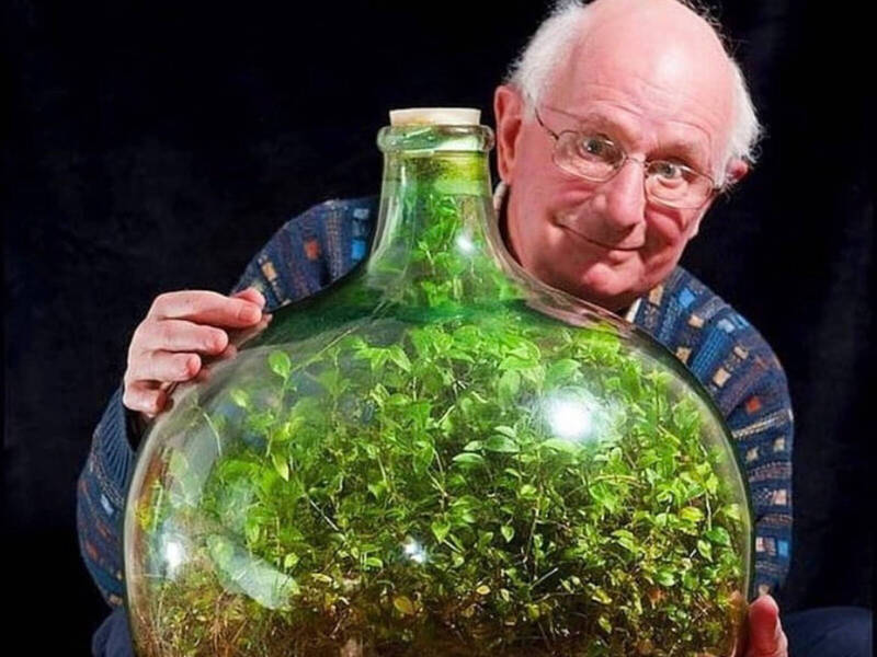 拉蒂默（David Latimer）1960年於大玻璃瓶種植水竹草，60多年來瓶內已形成自給自足的生態系統。（翻攝自@historyinmemes 推特）