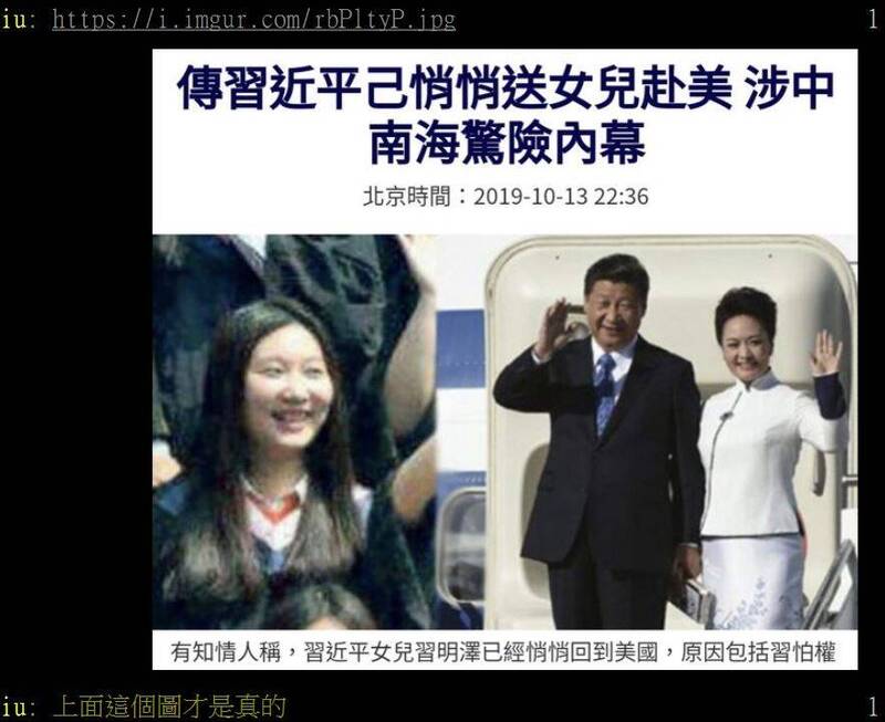 网友指出，中国官方式释出的图片，也多是习明泽小时候的样子。（图撷自PTT）(photo:LTN)