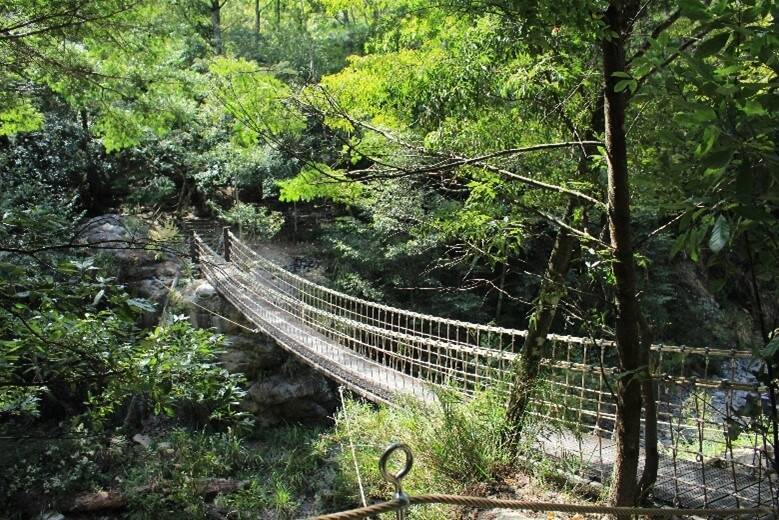 台中市和平區的環山獵人步道完工，吸引很多民眾來登山。（觀旅局提供）