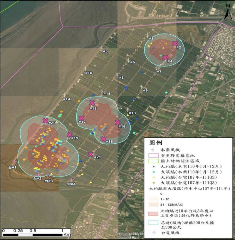 永興海埔新生地及魚塭是重要野鳥棲息地，每年更吸引大杓鷸等多種保育類候鳥來台渡冬。（取自環評書件）