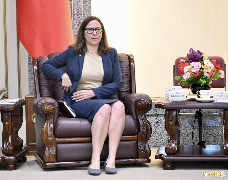 美國在台協會主席羅森柏格表示，美方敬佩台灣民主，不會在大選選邊站，也反對境外勢力干預。（資料照）