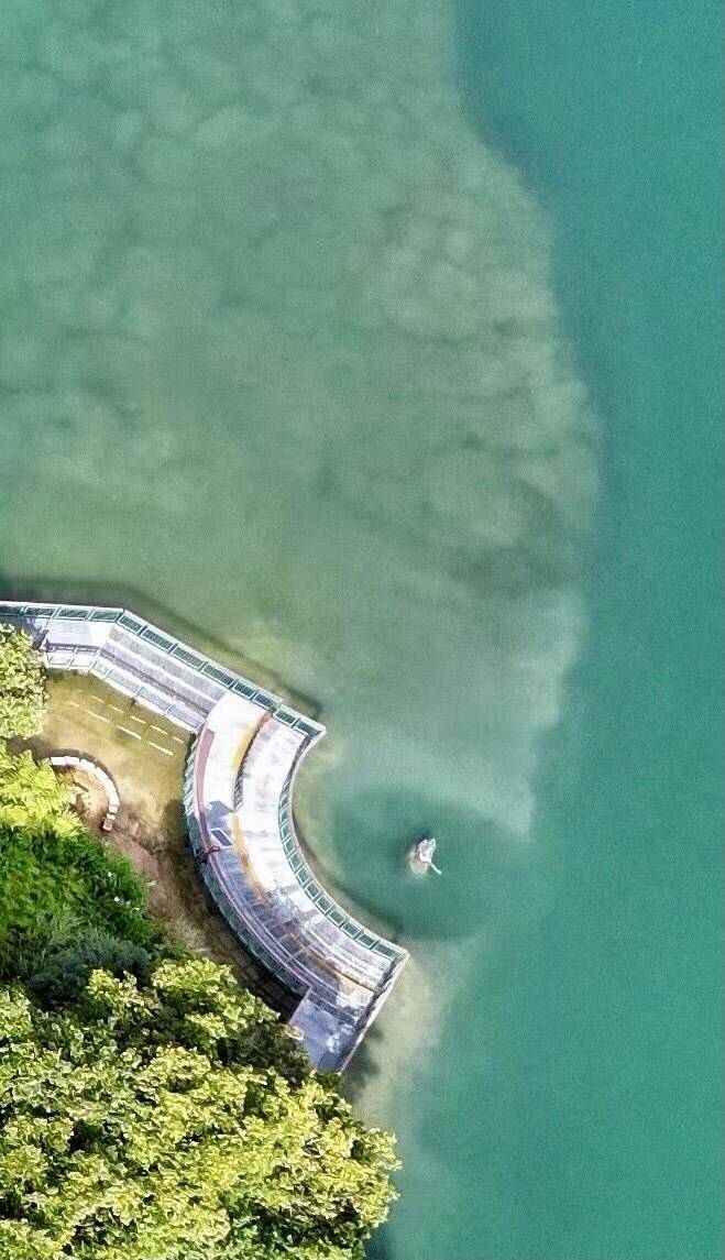 魚體」現形！日月潭巨魚吞九蛙潭底竟浮「巨魚怪」 - 蒐奇- 自由時報電子報