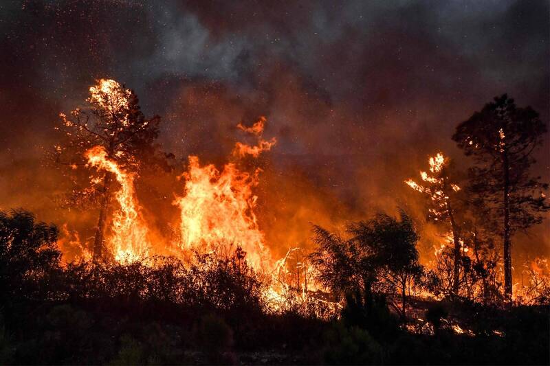 阿爾及利亞當地野火造成多人死亡，目前已上升至34人。（法新社）