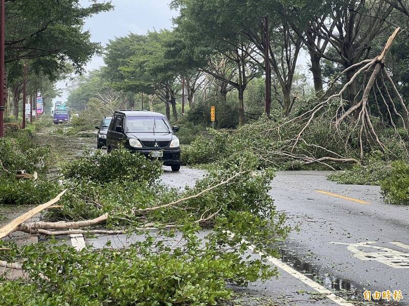 「杜蘇芮」肆虐，金門原來筆直的中央公路滿目瘡痍。（記者吳正庭攝）