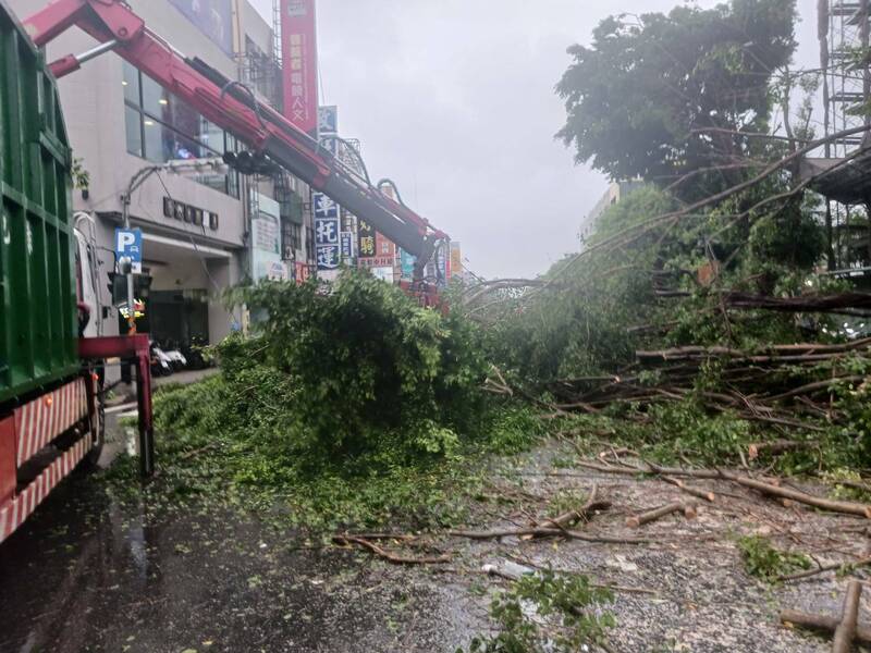 杜蘇芮颱風來襲，南市路樹倒伏阻路中，工務局派員清理。（南市工務局提供）