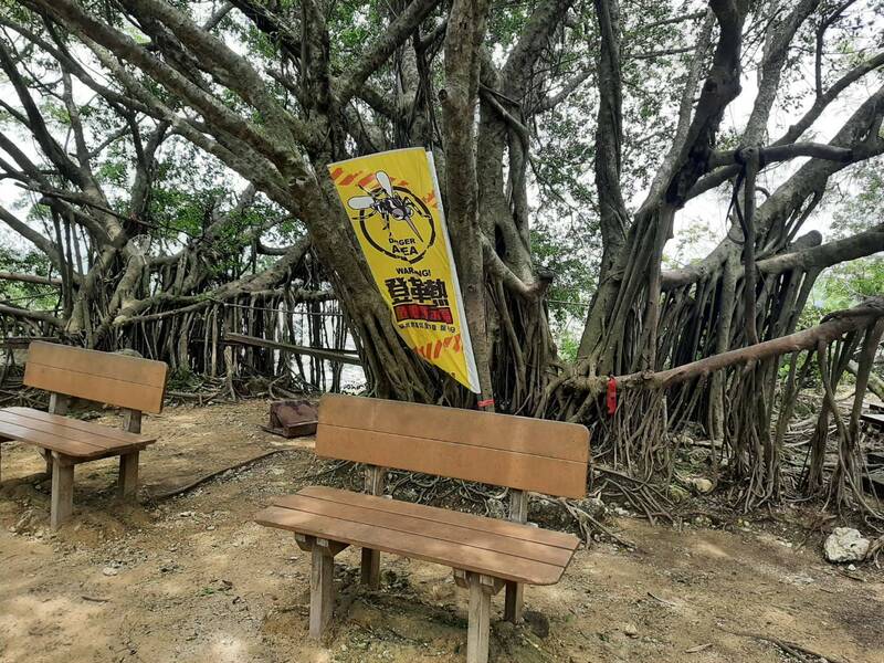 壽山國家自然公園步道累計已有5名山友染登革熱，民眾活動時應注意防蚊。（高雄市衛生局提供）