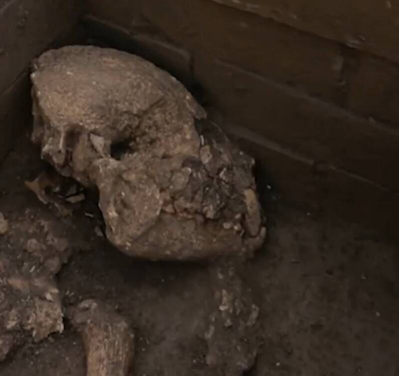 考古團隊近日在中國陝西省的漢文帝霸陵附近，挖出一具逾2000年前的貓熊骨骸。（翻攝自微博）