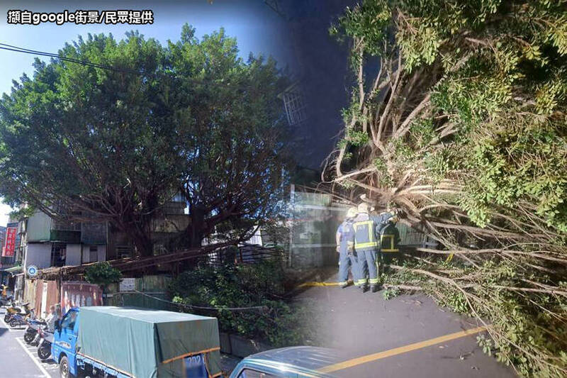 台北市萬華區青年公園旁今（4日）傍晚有棵四層樓高的大榕樹倒下，壓壞兩台車，幸好無人受傷。（民眾提供、擷自google街景；本報合成）