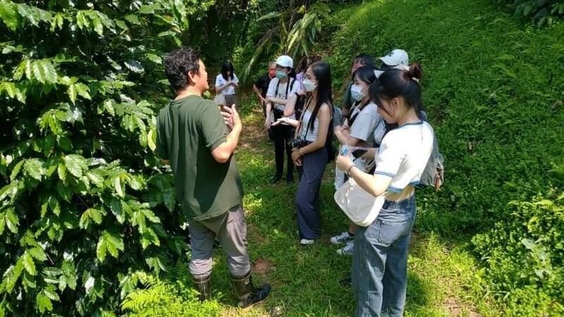 新竹縣關西鎮金山社區發展協會長期發展咖啡產業，凝聚在地22位小農，以友善耕作及科技管理方式，推出主題式的「咖啡文化體驗」。 （勞動部桃竹苗分署提供）