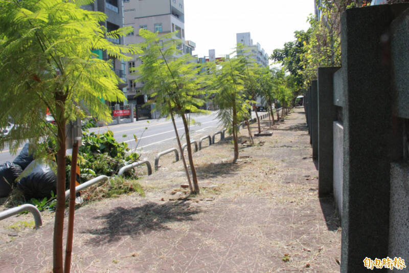 5年前該人行道種有鳳凰木、藍花楹等行道樹狀況。(資料照,記者陳冠備攝) 5年前該人行道種有鳳凰木、藍花楹等行道樹狀況。(資料照,記者陳冠備攝)
