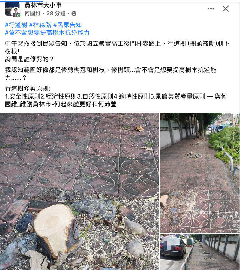 行道樹不明原因遭砍,引來民眾在網路熱議,認為修剪手法太粗暴。(翻攝員林市大小事)(記者陳冠備攝) 行道樹不明原因遭砍,引來民眾在網路熱議,認為修剪手法太粗暴。(翻攝員林市大小事)(記者陳冠備攝)