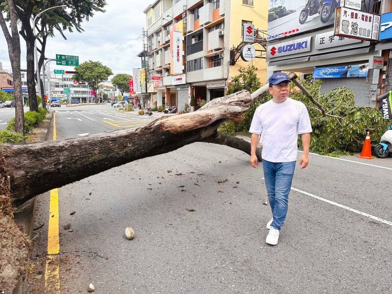 台中市豐原區圓環東路一棵路樹橫倒路面，阻礙交通。（謝志忠提供）