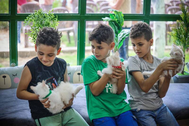 加萨市第一家猫咖啡店17日开幕，巴勒斯坦男童开心和猫咪互动。（法新社）(photo:LTN)