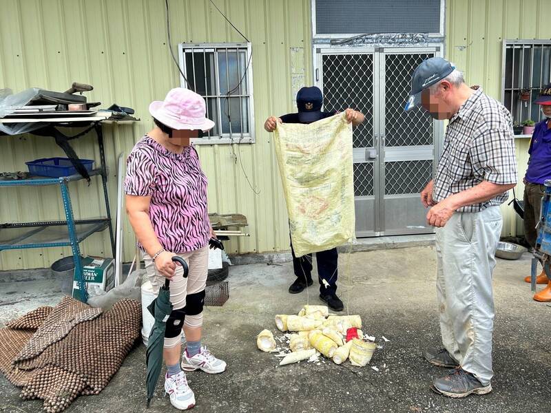 陳姓夫妻在甲仙區一處竹林偷割竹筍被逮。（民眾提供）