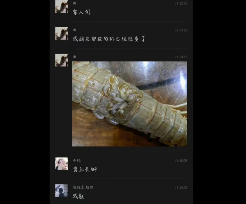 有台灣網友表示，家人收到親戚的訊息與一張中國網友拍攝的照片宣稱「海鮮核變」，呼籲不要吃任何海鮮，讓他感到非常傻眼。（圖擷取自「匿名廢文2.0」臉書粉專）