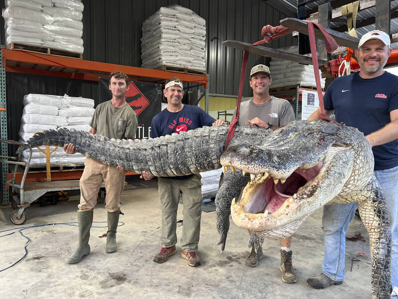比一層樓還高！美國獵人捕獲超巨鱷魚長度逾4.3公尺破當地紀錄- 國際- 自由時報電子報