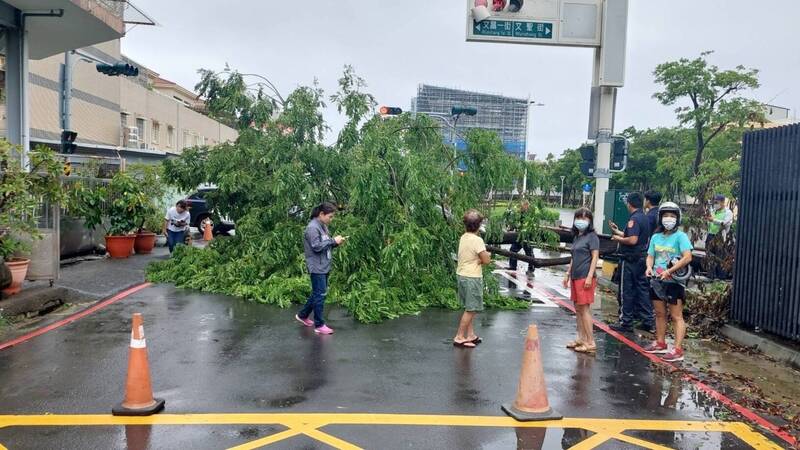 許姓婦人今騎車行經鳳山區文正路、文昌一街口停等紅燈，突遭路樹傾倒壓傷。（圖由讀者提供）