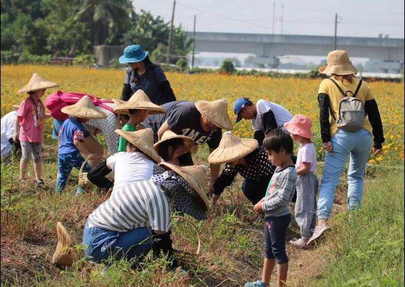 農糧署舉辦親子米食共學行程票選活動，無米樂故鄉推出「芬芳田間樂悠遊」。（芳榮米廠提供）