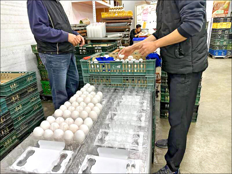 雞蛋專案進口措施，截至七月共進口1億4882萬顆蛋，超思公司自巴西進口8814萬顆蛋，占總體進口量約6成。圖為農業部跨部會協調進口雞蛋作業。（資料照）