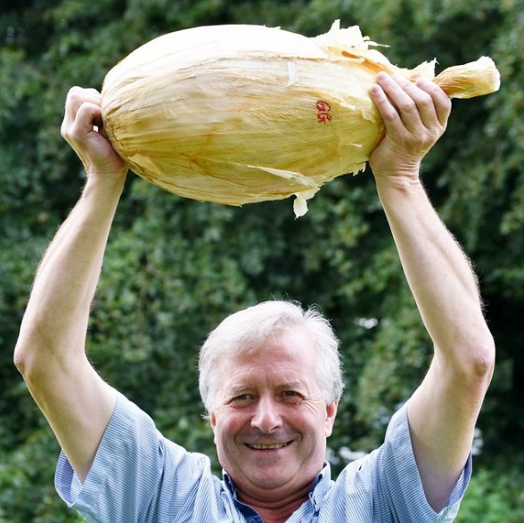 英國農夫種出19.77磅（約8.96公斤）的洋蔥，有望創下金氏世界紀錄。（圖擷自「harrogateflowershow」IG）