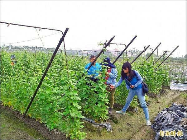 為讓相關制度盡速法制化，植物學界上週開會決定將植醫改名為「植物診療師」，希望藉由更名力拚法案於這會期通過，醫師公會全聯會表示樂觀其成、全面支持。（資料照）