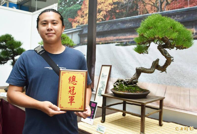 桃市盆栽雅石成果展，27歲劉峻宏以「黑松」抱走盆栽總冠軍。（記者李容萍攝）