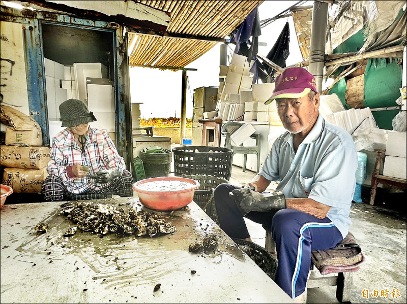 嘉義縣東石鄉91歲的蚵農蔡新聞（右）每天和老婆一起剖蚵。（記者蔡宗勳攝）