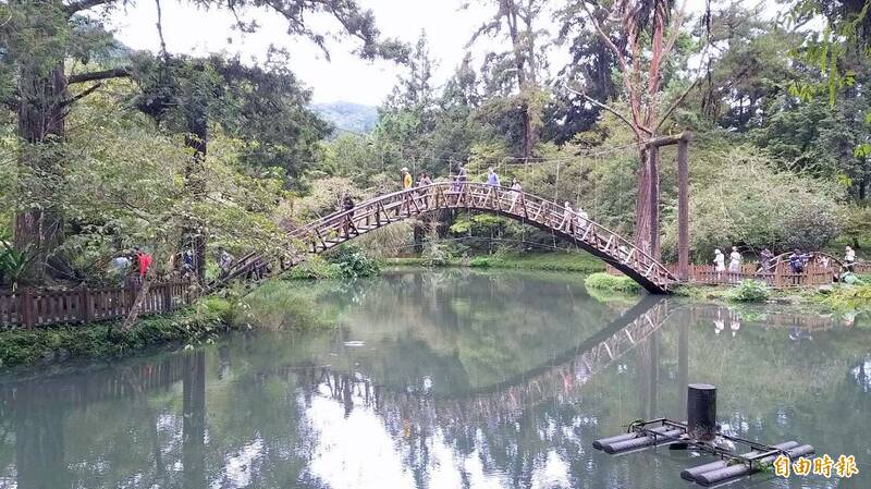 「大學池竹拱橋」係溪頭自然教育園區重要景點之一，不時可見遊客結伴同行賞景。（記者謝介裕攝）