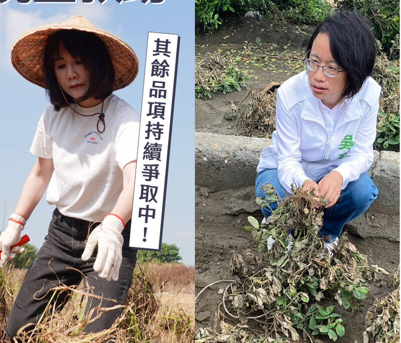 謝衣鳯（左）與吳音寧（右）在小犬颱風農損補助議題交鋒。（記者顏宏駿攝及翻攝）