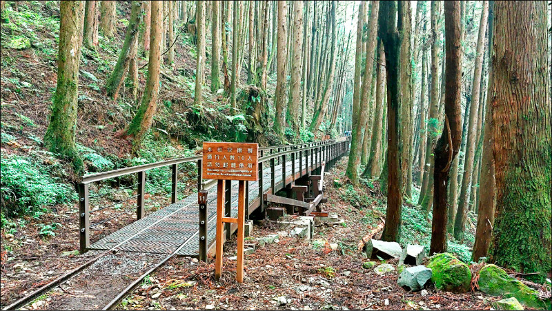 嘉義縣特富野古道整修完成。（林業保育署嘉義分署提供）